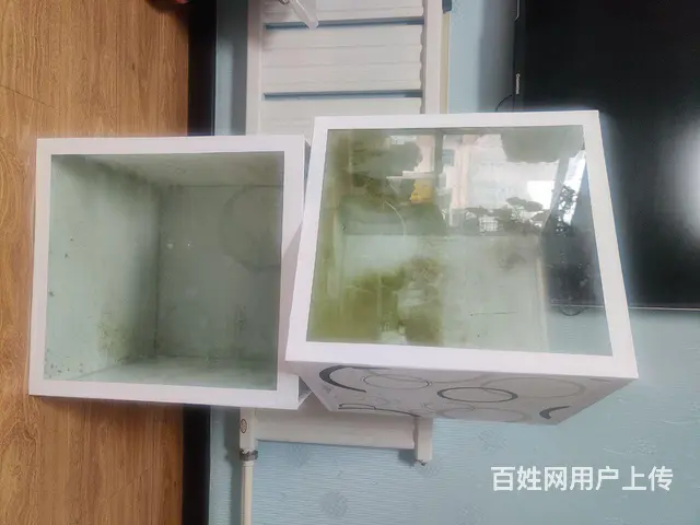 鱼缸的图片