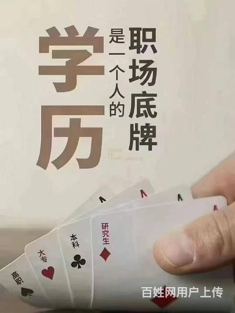 报考学历，一拖全剧终！的图片