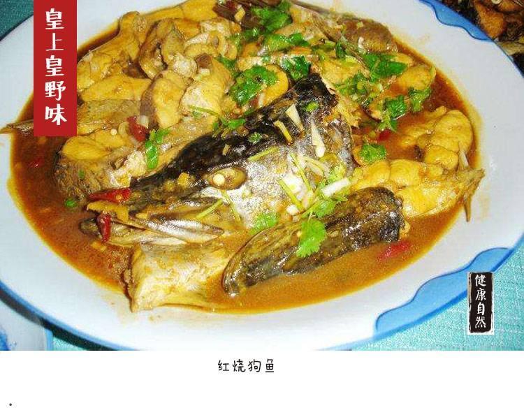 新疆阿勒泰狗鱼批发,乌苏里江鱼价格,黑龙江鱼多少钱