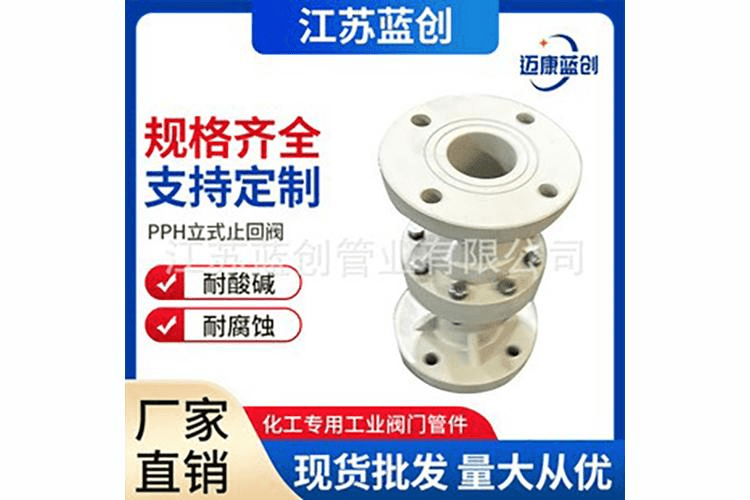 PPH加强止回阀