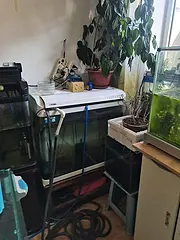 七个水族箱全部出售