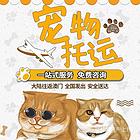 梅州宠物托运 空运 陆运 活体运输上门接送