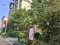 花开富贵 普通住宅 毛坯房