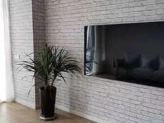 远大未来城精装公寓出租