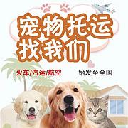 南通启东宠物托运 （猫狗活体运输）宠物快递至全国