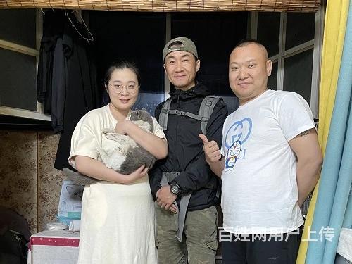 洛阳专业找猫团队-本地寻宠机构的图片