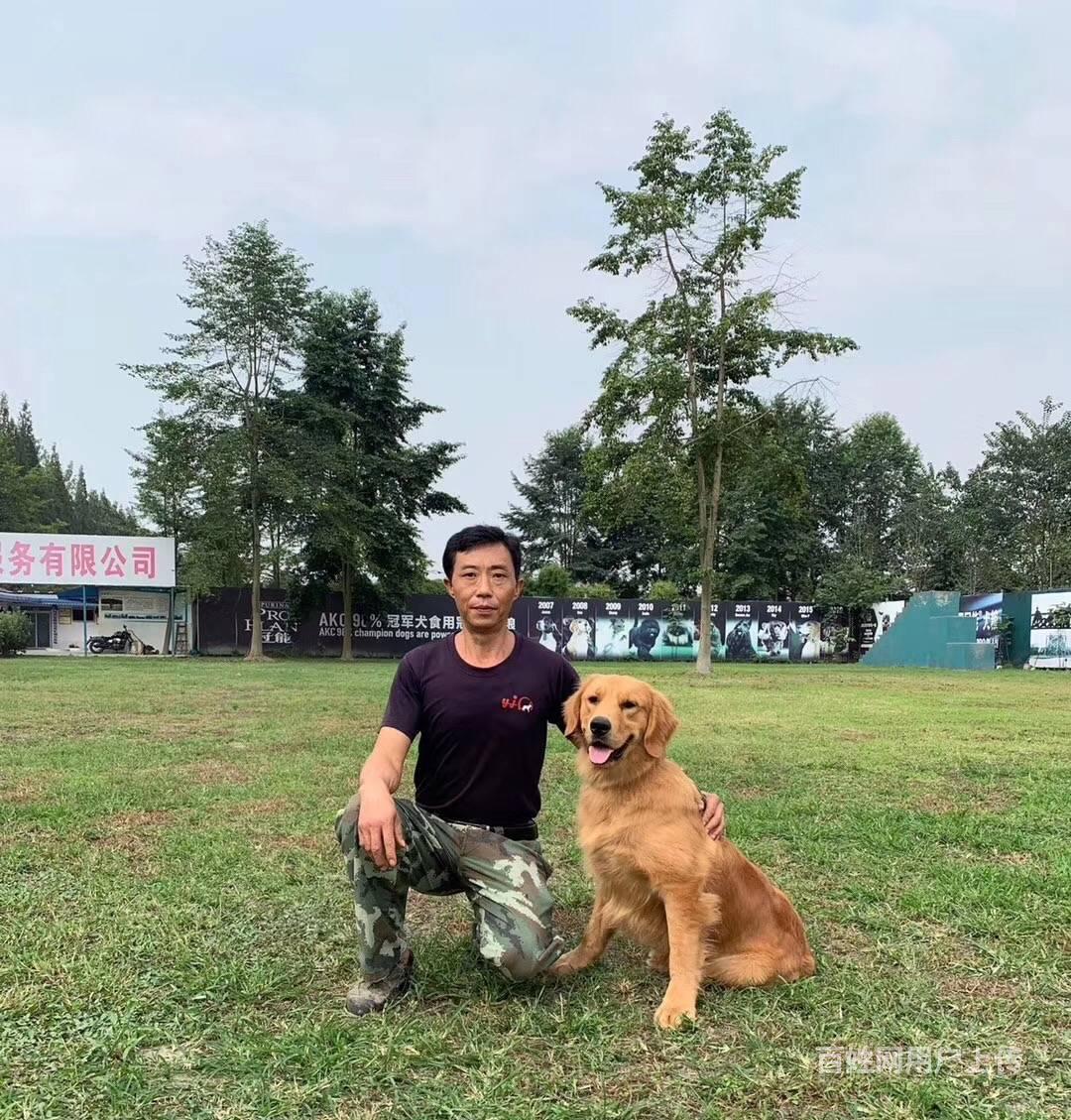 成都训犬-勇军训犬基地-可视化训犬-快乐训犬