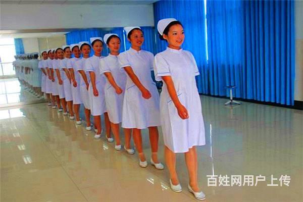 莱芜护理职业学院招生简章，怎么报名？的图片