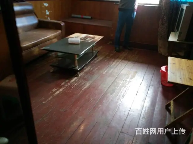先锋路女子岗亭有房出租 普通住宅1厅 精装修的图片
