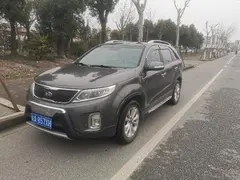 正月十四太和利辛出发回上海松江