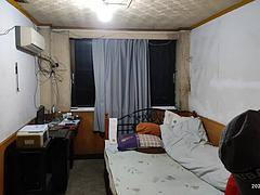第发里 普通住宅2厅 3个房间出租拎包入住