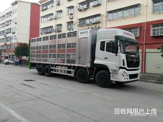 前四后八东风天龙拉活猪运输车厂家大促
