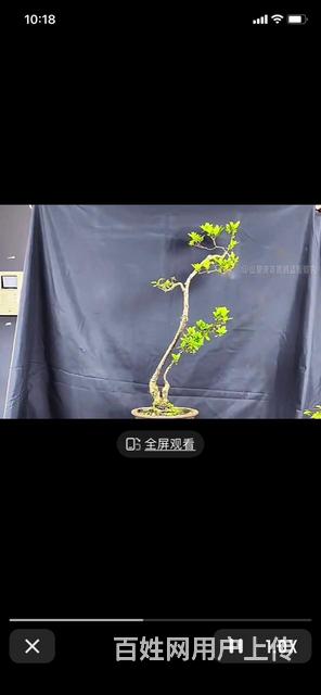 梁园区平原北路有厂房出租的图片