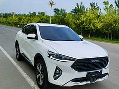 哈弗F7 2019款 F7x 1.5T 双离合 极智潮玩版l