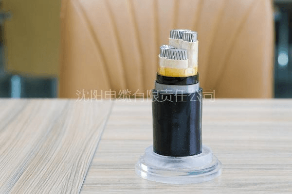 铜芯塑力缆VV22