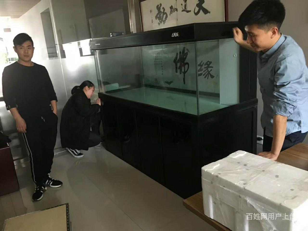 保定兴发搬家专业搬运钢琴/鱼缸/红木家具等搬运工程