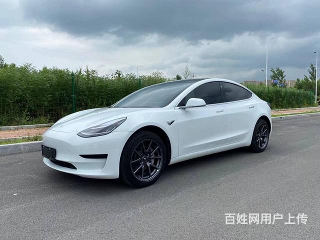 特斯拉Model 3 2020款 长续航后轮驱动版的图片