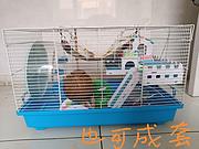 仓鼠金丝熊，小宠用具