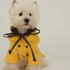 品质有保障 信誉售后服务 犬舍直销纯种西高地幼犬