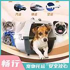 开封宠物托运（猫狗）邮寄快递运输（宠物活体托运新*闻）