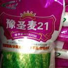 定西附近的大麦种子零售批发
