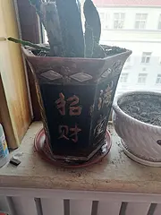 十五块钱。