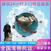 焦作修武宠物托运 （猫狗活体运输）宠物快递至全国