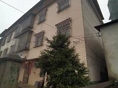 罗围村兴塘组寿佛路南自建房 普通住宅3厅 简单装修