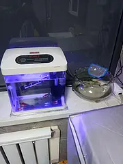 水族箱，圆型鱼缸及全套设备