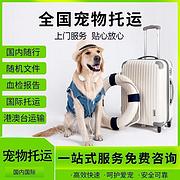 南阳镇平宠物托运 （猫狗活体运输）宠物快递至全国