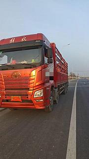 解放 厢式货车 国5