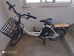 捷安特·莫曼顿48v锂电助力车
