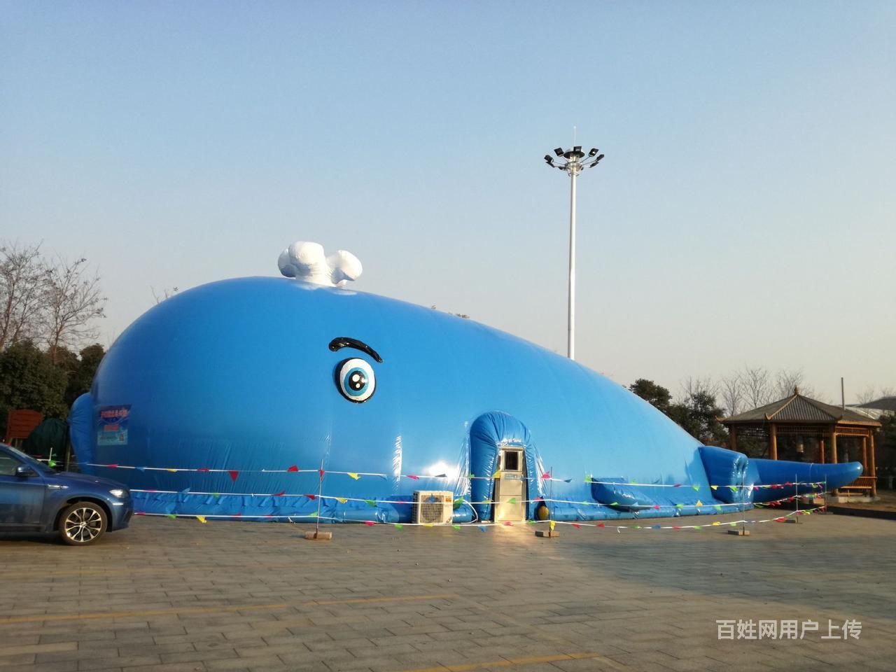 呼市出租充气鲸鱼岛乐园 鲸鱼岛租赁价格