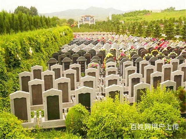 长沙服务 长沙白事服务 长沙墓地 服务内容 墓地 服务范围 长沙