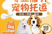 修武宠物托运/在线咨询/放心托付