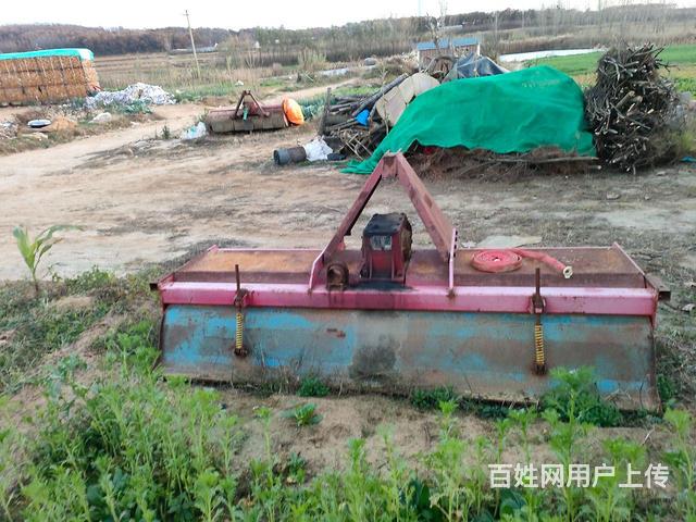 出售东方红的图片
