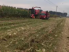 青贮黄贮茎稉两用机