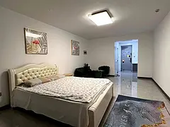 押一付一，中央广场，多套公寓，家电家具，拎包入住