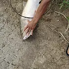 全活一套便宜出