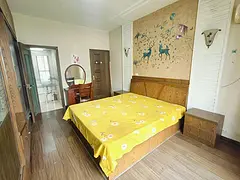 可短租月付 青金地雄楚一号当代曙光嘉园 惠安新苑 金地阳光城