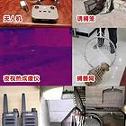 猫在楼层里跑丢了怎么找洛阳专找猫团队真的能找到吗