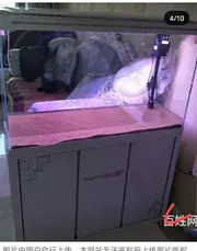 自用鱼缸