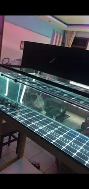 超白玻璃  生态鱼缸