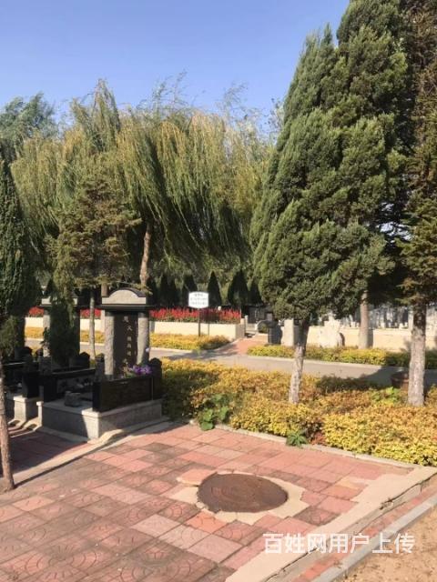 抚顺龙凤山公墓大众点评