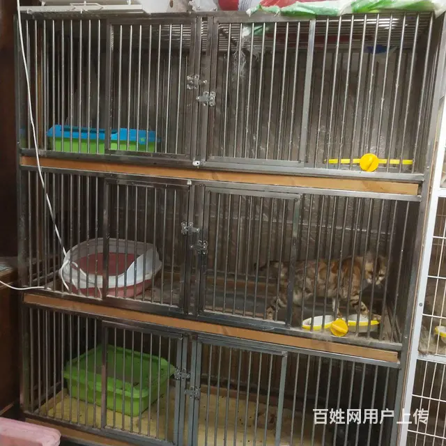 猫笼子的图片