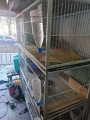 猫笼子出售。