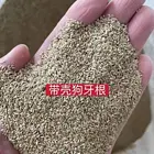 安庆哪里有草籽供应商