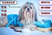织金县宠物托运（猫咪狗狗）邮寄（承接所有活体运输）今日/推荐