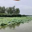 小百姓090919256310
