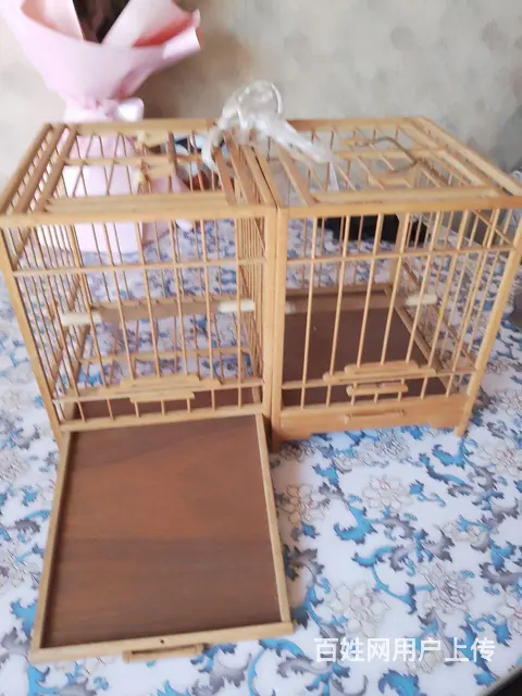 鸟笼一对的图片